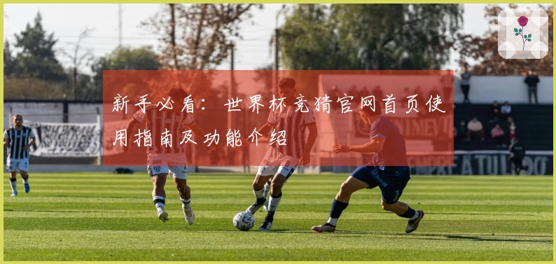 新手必看：世界杯竞猜官网首页使用指南及功能介绍