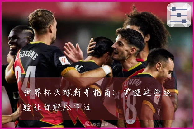 世界杯买球新手指南：掌握这些经验让你轻松下注