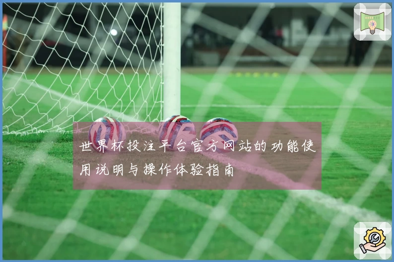 世界杯投注平台官方网站的功能使用说明与操作体验指南