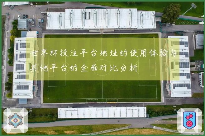世界杯投注平台地址的使用体验与其他平台的全面对比分析