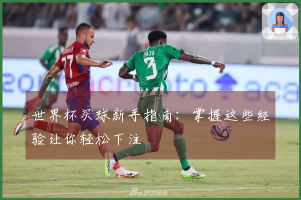 世界杯买球新手指南：掌握这些经验让你轻松下注