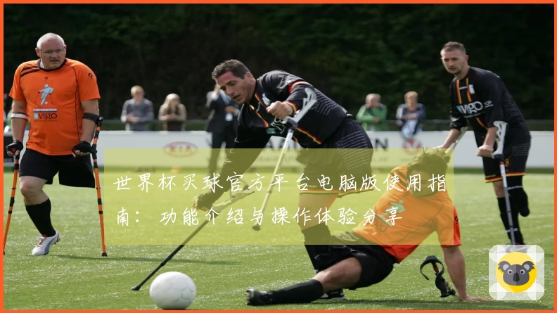 世界杯买球官方平台电脑版使用指南：功能介绍与操作体验分享